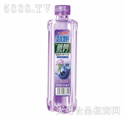 {(ln)ݮKˮ400ml